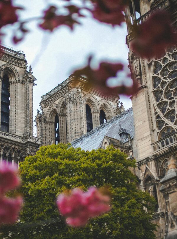 Notre-Dame de Paris, the iconic Gothic cathedral in Paris, France, showcasing its towering spires, flying buttresses, and intricate stained glass windows.