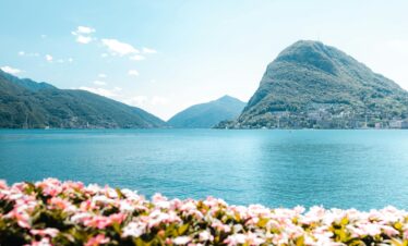 A scenic view of Lake Lugano surrounded by rolling hills, with vibrant rose-pink flowers in the foreground and the mountains in the distance.