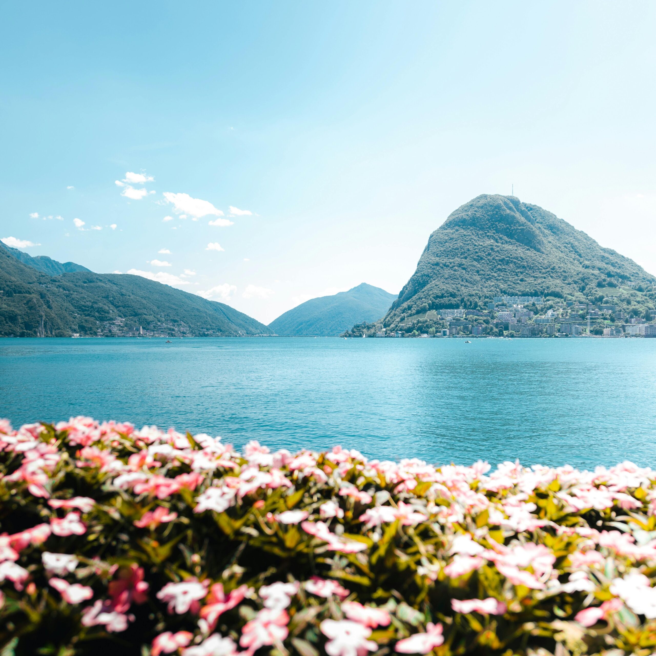 A scenic view of Lake Lugano surrounded by rolling hills, with vibrant rose-pink flowers in the foreground and the mountains in the distance.